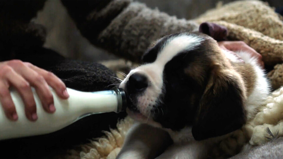 Es ist eine Begegnung, die das Leben von beiden von jetzt auf gleich verändert.